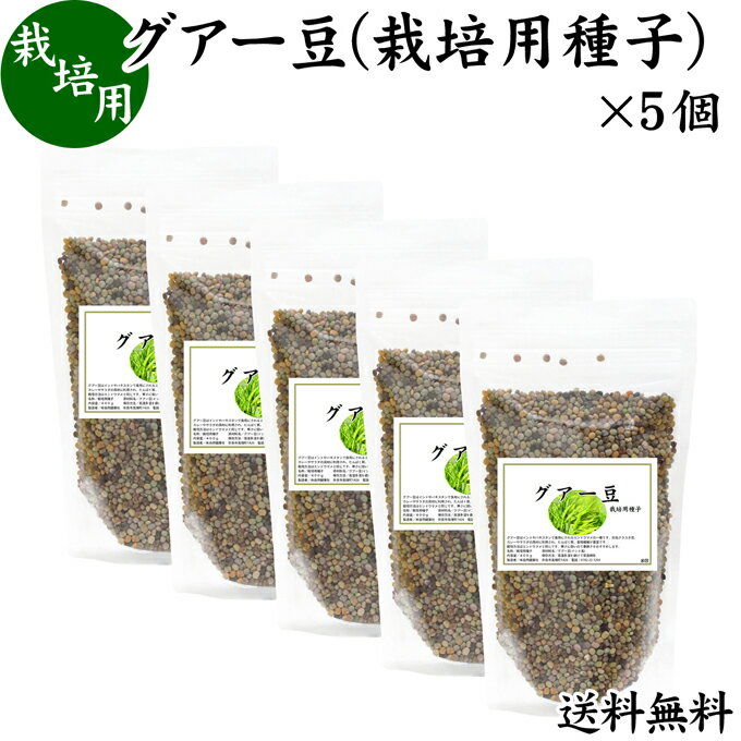 グアー豆 400g×5個 栽培用種子 グア豆 グァー豆 種 たね タネ クラスタ豆 くらすた豆 ガーデニング 種苗 播種 自然健康社