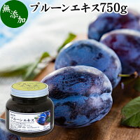 プルーンエキス 750g プルーン 濃縮 エキス ペースト 100％ 栄養 補助食品 鉄分 Fe 無添加 無着色 保存料不使用 健康 美容 お菓子 料理 製菓 プルーンジュース ヨーグルト ミネラルフルーツ アメリカ カリフォルニア産 高品質 自然健康社 【コンビニ受取対象商品】