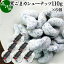 黒ごま カシューナッツ 110g×6個 カップ入り 黒ゴマ 黒胡麻 ゴマジェ GOMAJE ナッツ 和 ギフト 和風 甘さ ひかえめ 控えめ 和菓子 洋菓子 高級 お菓子 菓子 人気 お取り寄せ 自分買い 自分用 お家 おうち 時間 可愛い かわいい おしゃれ お洒落 お土産 手土産 セサミン