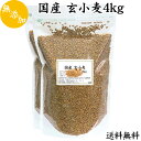 国産 玄小麦 4kg(2kg×2袋) 送料無料 小麦粒 雑穀 ビタミン B1 B6 B12 B群 フスマ 胚乳 胚芽 未精製 チャック付き袋 送料込み 自然健康社 【コンビニ受取対象商品】