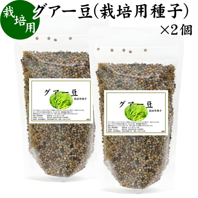 楽天青汁 粉末 健康茶の健康生活研究所グアー豆 400g×2個 栽培用種子 グア豆 グァー豆 種 たね タネ クラスタ豆 くらすた豆 ガーデニング 種苗 播種 自然健康社 【コンビニ受取対象商品】