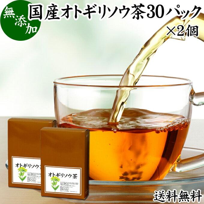 オトギリソウ茶 30パック×2個 おとぎりそう茶 国産 無農薬 農薬不使用 100％ セントジョーンズワート セント・ジョーンズ・ワート 送料無料 西洋オトギリソウ セイヨウオトギリソウ オトギリ草茶 お茶 サプリメント 健康茶 ティーパック ティーバッグ ヒペリカム ハーブティのサムネイル