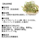 タラノキ茶 30パック×4個 たらのき茶 国産 100% 無添加 無農薬 農薬不使用 ティーパック ティーバッグ 送料無料 タラの木茶 タラ茶 たら茶 タラの葉茶 漢方 生薬 ハーブティー 健康茶 薬草茶 茶葉 お茶 サプリ ?の木 タラノメ タラの芽 妊婦 妊娠中 ノンカフェイン デカフ 2