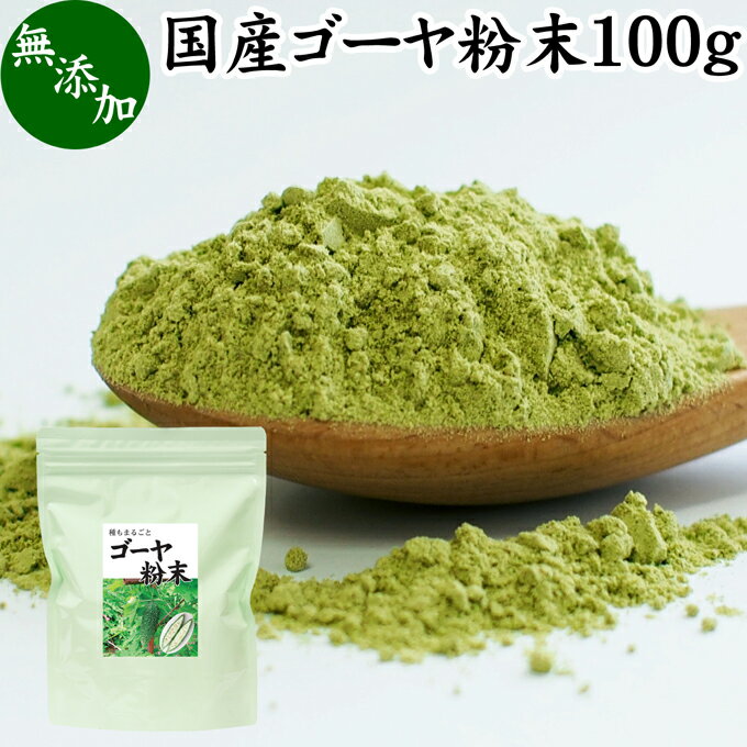 ゴーヤ粉末 100g 青汁 粉末 お試し 国