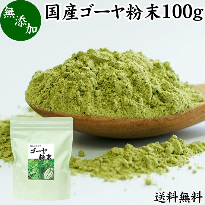 ゴーヤ粉末 100g 青汁 粉末 お試し 国