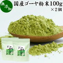 ゴーヤ粉末 100g×2個 青汁 粉末 お試