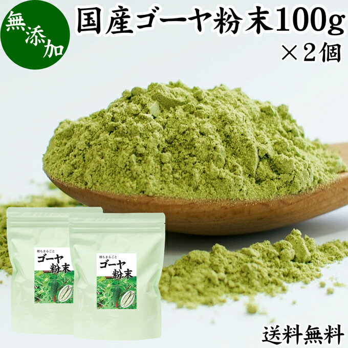 ゴーヤ粉末 100g×2個 青汁 粉末 お試