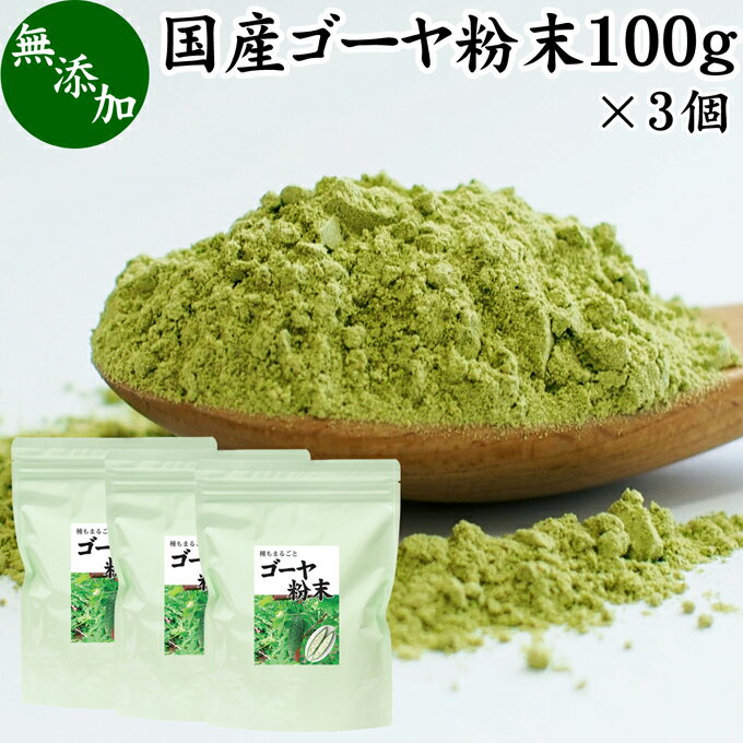 ゴーヤ粉末 100g×3個 青汁 粉末 お試