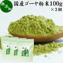 ゴーヤ粉末 100g×3個 青汁 粉末 お試