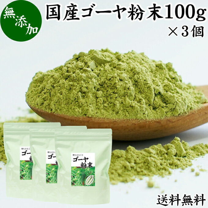 ゴーヤ粉末 100g×3個 青汁 粉末 お試