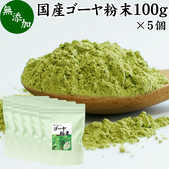 ゴーヤ粉末 100g×5個 青汁 粉末 お試