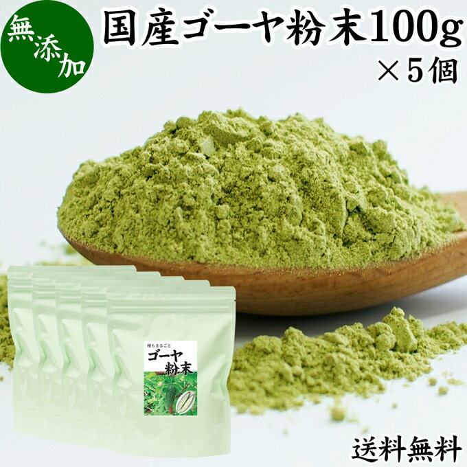 ゴーヤ粉末 100g×5個 青汁 粉末 お試