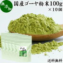 ゴーヤ粉末 100g×10個 青汁 粉末 お試