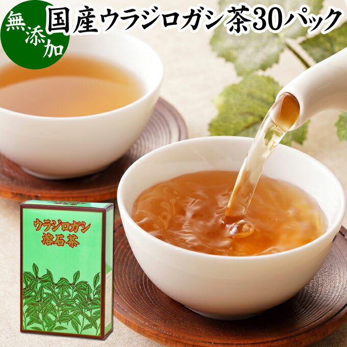 ウラジロガシ茶 30パック うらじろがし茶 裏白樫茶 国産 徳島県産 無農薬 農薬不使用 100％ 健康茶 ティーパック ティーバッグ 薬草茶 ノンカフェイン カフェインレス デカフェ 煮出し 無添加 無着色 健康飲料 健康食品 お茶 サプリメント サプリ タンニン 飲みやすい 温まる