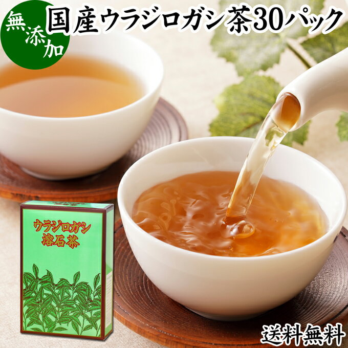 ウラジロガシ茶 30パック うらじろがし茶 裏白樫茶 国産 徳島県産 無農薬 農薬不使用 100％ 送料無料 健康茶 ティーパック ティーバッグ 薬草茶 ノンカフェイン カフェインレス デカフェ 煮出し 無添加 無着色 健康飲料 健康食品 お茶 サプリメント サプリ 飲みやすい 温まる