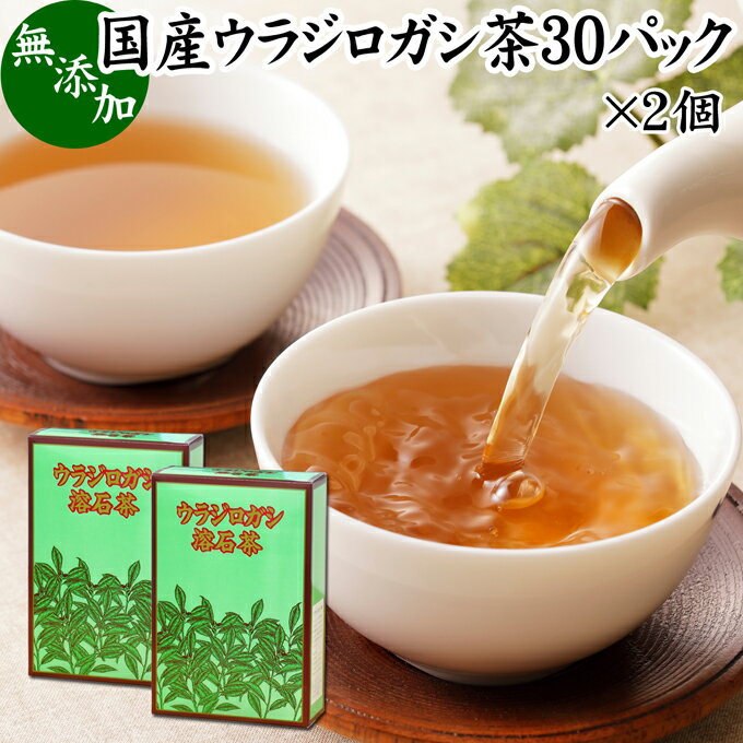 ウラジロガシ茶 30パック×2個 うらじろがし茶 裏白樫茶 