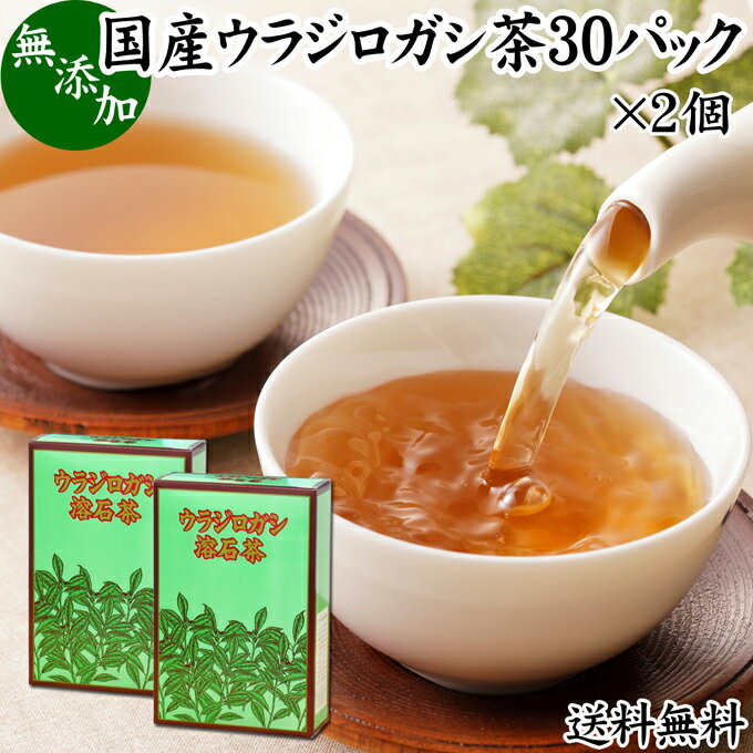 ウラジロガシ茶 30パック×2個 うらじろがし茶 裏白樫茶 国産 徳島県産 無農薬 農薬不使用 100％ 送料無料 健康茶 ティーパック ティーバッグ 薬草茶 ノンカフェイン カフェインレス デカフェ 煮出し 無添加 無着色 健康飲料 健康食品 お茶 サプリメント サプリ 飲みやすい