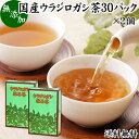 ウラジロガシ茶 30パック×2個 うらじろがし茶 裏白樫茶 国産 徳島県産 無農薬 農薬不使用 100％ 送料無料 健康茶 ティーパック ティーバッグ 薬草茶 ノンカフェイン カフェインレス デカフェ 煮出し 無添加 無着色 健康飲料 健康食品 お茶 サプリメント サプリ 飲みやすい