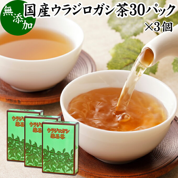 楽天青汁 粉末 健康茶の健康生活研究所ウラジロガシ茶 30パック×3個 うらじろがし茶 裏白樫茶 国産 徳島県産 無農薬 農薬不使用 100％ 健康茶 ティーパック ティーバッグ 薬草茶 ノンカフェイン カフェインレス デカフェ 煮出し 無添加 無着色 健康飲料 健康食品 お茶 サプリメント サプリ タンニン 飲みやすい