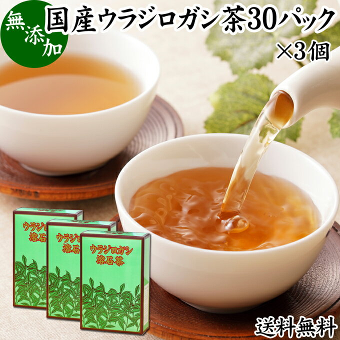 ウラジロガシ茶 30パック×3個 うらじろがし茶 裏白樫茶 国産 徳島県産 無農薬 農薬不使用 100％ 送料無料 健康茶 ティーパック ティーバッグ 薬草茶 ノンカフェイン カフェインレス デカフェ 煮出し 無添加 無着色 健康飲料 健康食品 お茶 サプリメント サプリ 飲みやすい