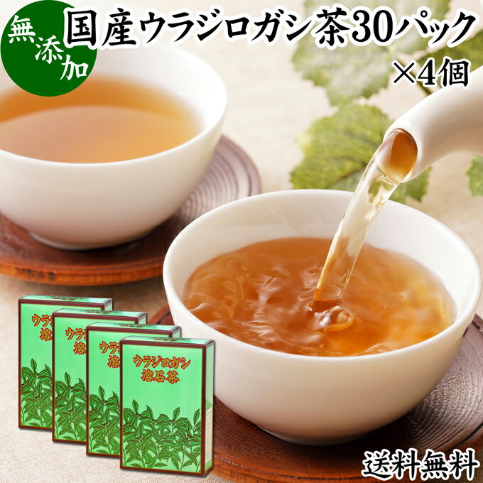 ウラジロガシ茶 30パック×4個 うらじろがし茶 裏白樫茶 国産 徳島県産 無農薬 農薬不使用 100％ 送料無料 健康茶 ティーパック ティーバッグ 薬草茶 ノンカフェイン カフェインレス デカフェ 煮出し 無添加 無着色 健康飲料 健康食品 お茶 サプリメント サプリ 飲みやすい