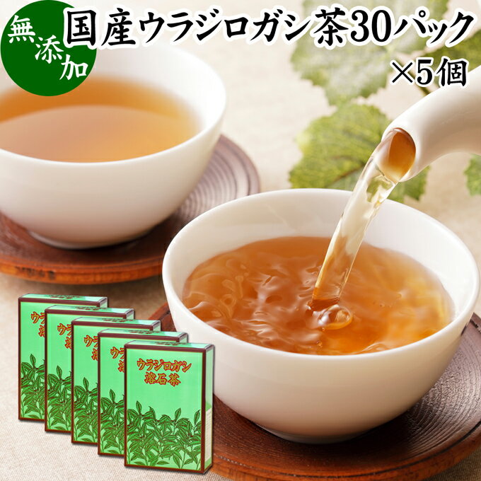 ウラジロガシ茶 30パック×5個 うらじろがし茶 裏白樫茶 国産 徳島県産 無農薬 農薬不使用 100％ 健康茶 ティーパック ティーバッグ 薬草茶 ノンカフェイン カフェインレス デカフェ 煮出し 無添加 無着色 健康飲料 健康食品 お茶 サプリメント サプリ タンニン 飲みやすい