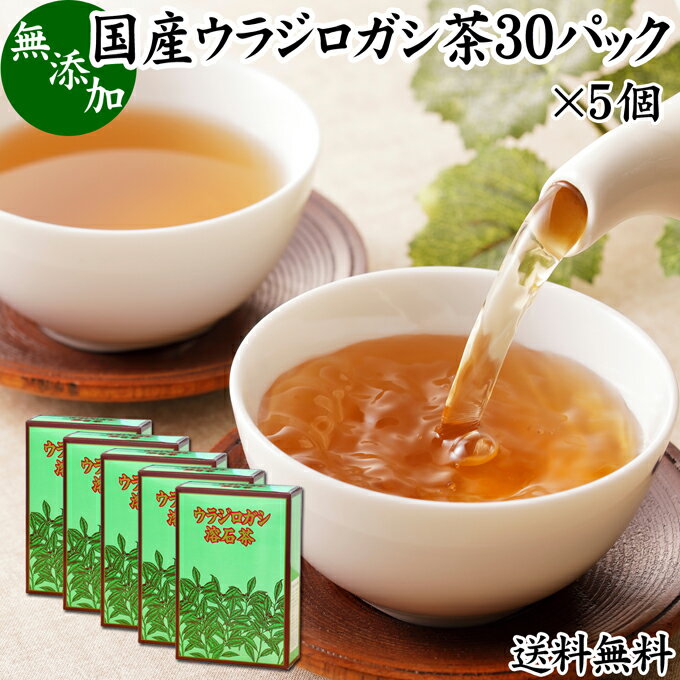 ウラジロガシ茶 30パック×5個 うらじろがし茶 裏白樫茶 国産 徳島県産 無農薬 農薬不使用 100％ 送料無料 健康茶 ティーパック ティーバッグ 薬草茶 ノンカフェイン カフェインレス デカフェ 煮出し 無添加 無着色 健康飲料 健康食品 お茶 サプリメント サプリ 飲みやすい