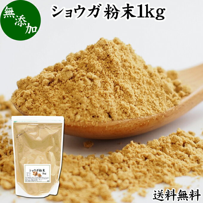 ショウガ 粉末 1kg 生姜 粉末 パウダー ジンジャー ショウガ 業務用 送料無料 100% 乾燥 しょうが 茶 紅茶 生姜湯 ショウガ湯 サプリ サプリメント 生生姜 無添加 無着色 無香料 ぽかぽか ショ…