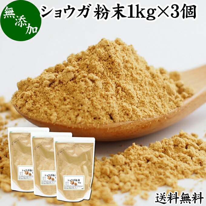 ショウガ 粉末 1kg 3個 生姜 粉末 パウダー ジンジャー ショウガ 業務用 送料無料 100% 乾燥 しょうが 茶 紅茶 生姜湯 ショウガ湯 サプリ サプリメント 生生姜 無添加 無着色 無香料 ぽかぽか …