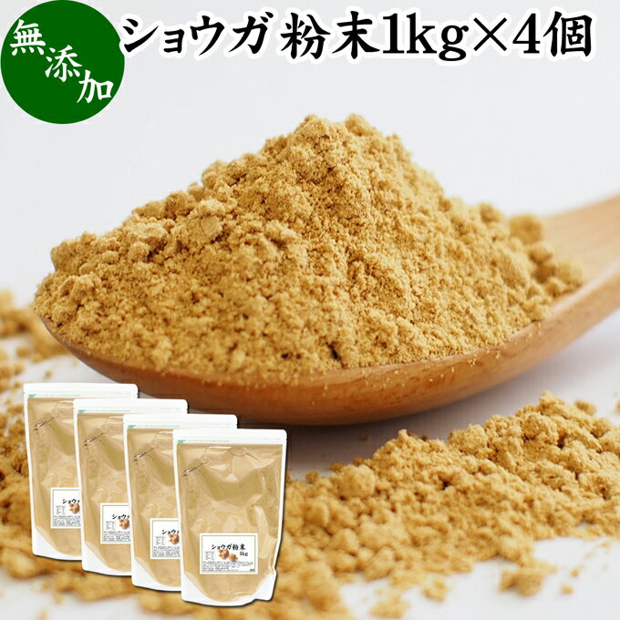 楽天青汁 粉末 健康茶の健康生活研究所ショウガ 粉末 1kg×4個 生姜 粉末 パウダー ジンジャー ショウガ 100％ 業務用 乾燥 しょうが 茶 紅茶 生姜湯 ショウガ湯 サプリ サプリメント 生生姜 無添加 無着色 無香料 ぽかぽか ショウガオール ジンゲロール 温活 妊活 ダイエット 冷え 対策 お試し おためし 牛乳 豆乳