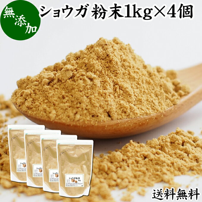 ショウガ 粉末 1kg×4個 生姜 粉末 パウダー ジンジャー ショウガ 業務用 送料無料 100% 乾燥 しょうが ..