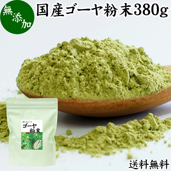 ゴーヤ粉末 380g 青汁 粉末 送料無料 国産 無添加 ゴーヤー茶 ゴーヤ茶 ゴーヤ パウダー あおじる 粉末 野菜 ジュース ごーやー茶 ごーや茶 ごーやーパウダー 自然健康社 おすすめ おいしい サプリメント 便利 ランキング うまい スムージー まるごと ヴィーガン 売れ筋