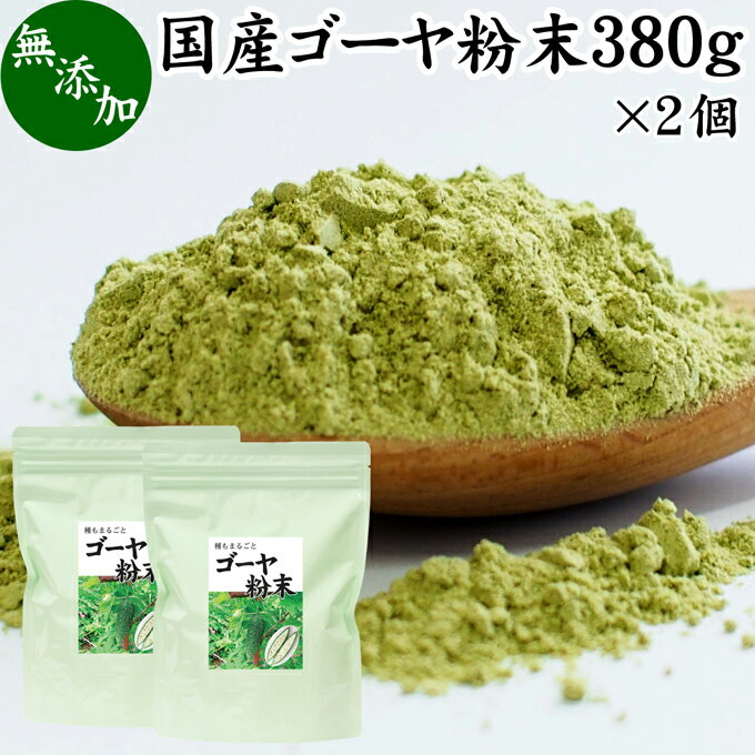 ゴーヤ粉末 380g×2個 青汁 粉末 国産 無添加 ゴーヤー茶 ゴーヤ茶 ゴーヤ パウダー あおじる 粉末 野菜 ジュース ごーやー茶 ごーや茶 ごーやーパウダー 自然健康社 おすすめ おいしい サプリメント 便利 ランキング うまい スムージー まるごと ヴィーガン 売れ筋 丸ごと