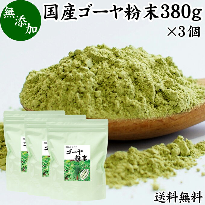 ゴーヤ粉末 380g×3個 青汁 粉末 送料