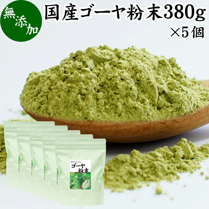 ゴーヤ粉末 380g×5個 青汁 粉末 国産 