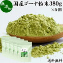 ゴーヤ粉末 380g×5個 青汁 粉末 送料