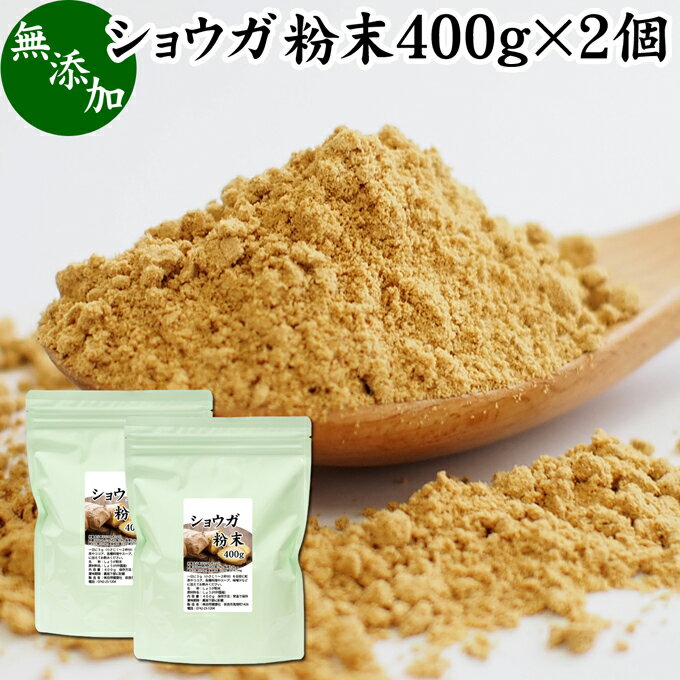 ショウガ 粉末 400g×2個 生姜 粉末 パウダー ジンジャー ショウガ 100% 乾燥 しょうが 茶 紅茶 生姜湯 ショウガ湯 サプリ サプリメント 生生姜 無添加 無着色 無香料 ぽかぽか ショウガオール ジンゲロール 温活 妊活 ダイエット 冷え 対策 お試し おためし 牛乳 豆乳 ホッのサムネイル