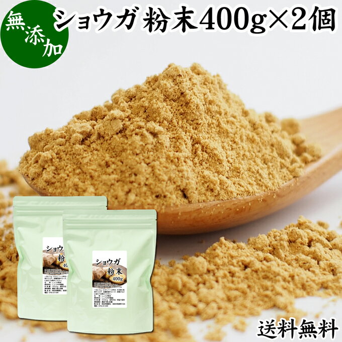 ショウガ 粉末 400g 2個 生姜 粉末 パウダー ジンジャー ショウガ 送料無料 100% 乾燥 しょうが 茶 紅茶 生姜湯 ショウガ湯 サプリ サプリメント 生生姜 無添加 無着色 無香料 ぽかぽか ショウ…