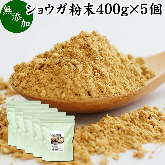 ショウガ 粉末 400g×5個