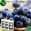 楽天青汁 粉末 健康茶の健康生活研究所ブルーベリー 100g×3個 ブルー ベリー ドライ フルーツ 乾燥 果物 カルチベイト カルティベイト 着色料 保存料 香料 不使用 無着色 業務用 ポリフェノール アントシアニン 食物繊維 ビタミン ミネラル 健康 美容 サラダ 菓子 お菓子 おやつ グラノーラ スイーツ スムージー