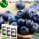 楽天青汁 粉末 健康茶の健康生活研究所ブルーベリー 100g×3個 ブルー ベリー ドライ フルーツ 乾燥 果物 カルチベイト カルティベイト 着色料 保存料 香料 不使用 無着色 業務用 送料無料 ポリフェノール アントシアニン 食物繊維 ビタミン ミネラル 健康 美容 サラダ 菓子 お菓子 おやつ グラノーラ スムージー