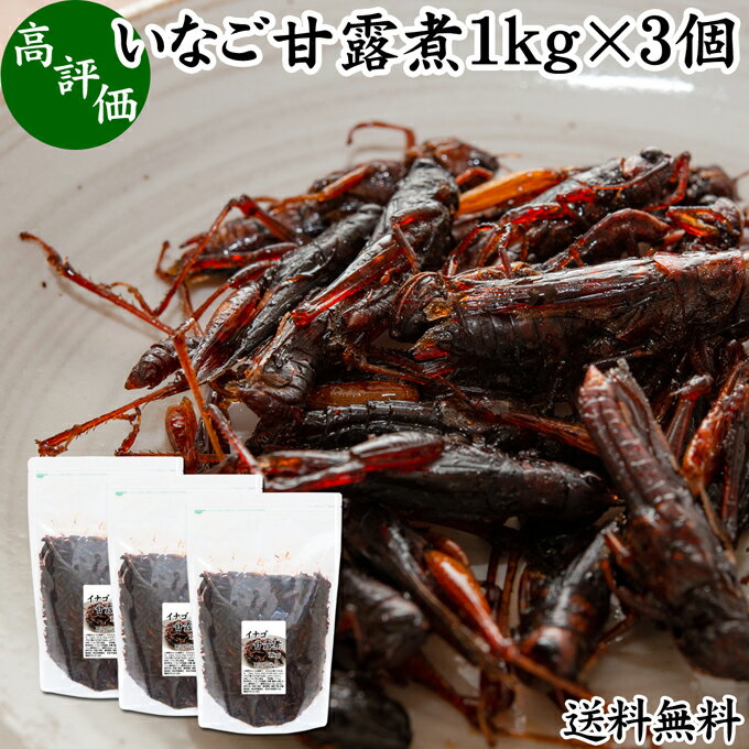 イナゴ 甘露煮 1kg×3個 いなご 佃煮 蝗 オカエビ 小エビ 小海老 小えび 食感 業務用 送料無料 つくだ煮 珍味 昆虫食 グルメ 郷土料理 おせち料理 美容 健康 キャンプ用 アウトドア 食材 トッピング 惣菜 おそうざい 煮物 おかず おつまみ おやつ 白飯 うどん そば 蕎麦