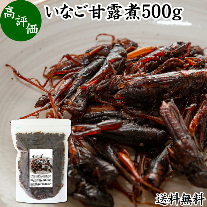 楽天青汁 粉末 健康茶の健康生活研究所イナゴ 甘露煮 500g いなご 佃煮 蝗 オカエビ 小エビ 小海老 小えび 食感 業務用 送料無料 つくだ煮 珍味 昆虫食 グルメ 郷土料理 おせち料理 美容 健康 キャンプ用 アウトドア 食材 トッピング 惣菜 おそうざい 煮物 おかず おつまみ おやつ 白飯 うどん そば 蕎麦 具材