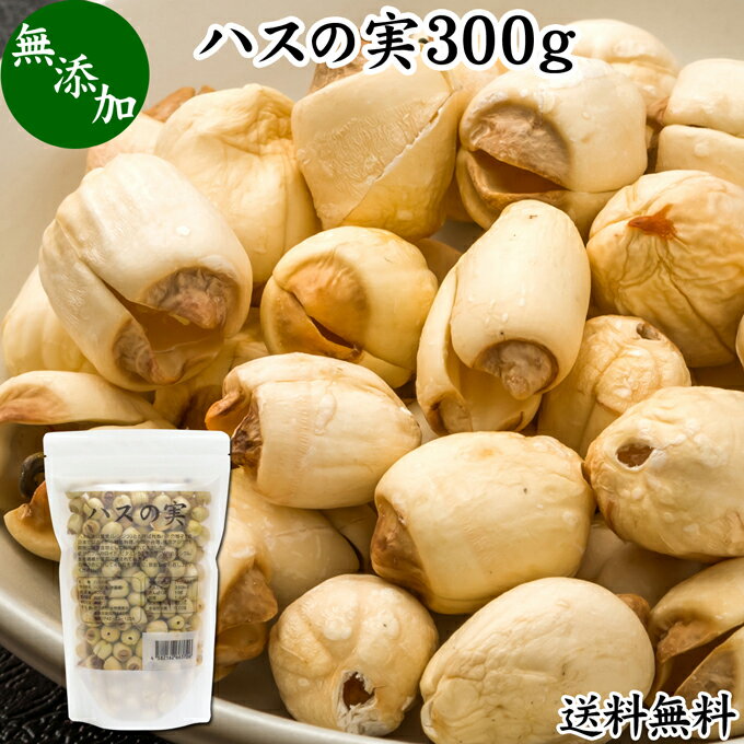 ハスの実 300g 蓮の実 はすの実 蓮実 