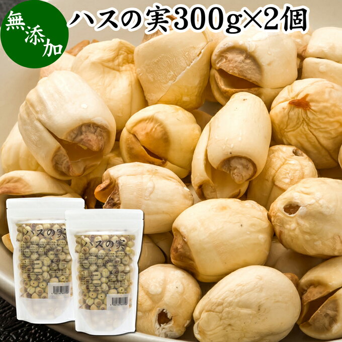 ハスの実 300g×2個 蓮の実 はすの実 蓮実 レンジツ アルカロイド 無添加 乾燥 無漂白 無着色 蓮茶 はす..