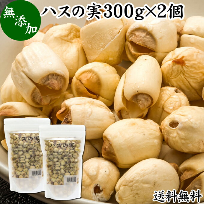 楽天青汁 粉末 健康茶の健康生活研究所ハスの実 300g×2個 蓮の実 はすの実 蓮実 レンジツ 送料無料 アルカロイド 無添加 乾燥 無漂白 無着色 蓮茶 はす茶 薬膳茶 業務用 食材 健康食材 漢方 薬膳 美容 ダイエット ごはん 具材 スープ 炊き込みご飯 鍋 煮込み料理 中華食材 味噌汁 茹でる おかゆ お粥 おこわ 甘納