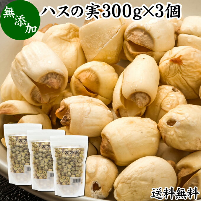 ハスの実 300g×3個 蓮の実 はすの実 