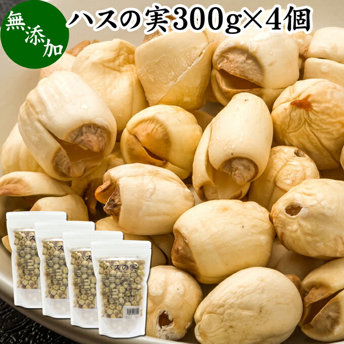 ハスの実 300g×4個 蓮の実 はすの実 蓮実 レンジツ アルカロイド 無添加 乾燥 無漂白 無着色 蓮茶 はす茶 薬膳茶 業務用 食材 健康食材 漢方 薬膳 美容 ダイエット ごはん 具材 スープ 炊き込みご飯 鍋 煮込み料理 中華食材 味噌汁 茹でる おかゆ お粥 おこわ 甘納豆 砂糖漬 1