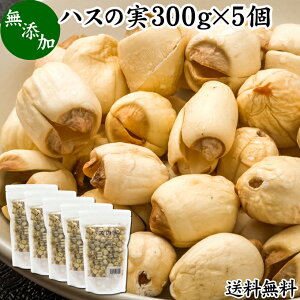 ハスの実 300g×5個 蓮の実 はすの実 蓮実 レンジツ 送料無料 アルカロイド 無添加 乾燥 無漂白 無着色 蓮茶 はす茶 薬膳茶 業務用 食材 健康食材 漢方 薬膳 美容 ダイエット ごはん 具材 スープ 炊き込みご飯 鍋 煮込み料理 中華食材 味噌汁 茹でる おかゆ お粥 おこわ 甘納