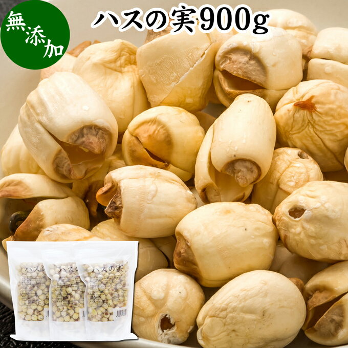 ハスの実 900g 蓮の実 はすの実 蓮実 